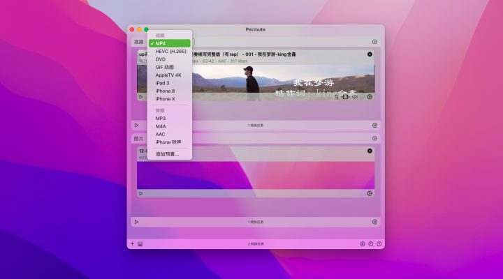 Permute v3.9.8 中文激活版 视频音频格式转换-1662734901-c78595e40f681f1-1