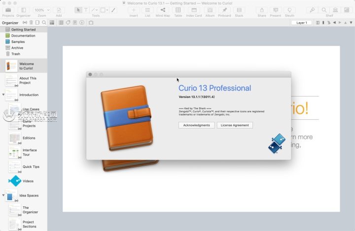 Curio Pro 13 for Mac(思维导图软件)v13.1.1永久激活版-1662910387-d11c05e0055dcc4-2