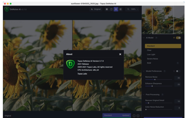 Topaz DeNoise AI for mac(AI图像降噪软件)支持m1v3.7.0激活版-1665484807-68ebf6879556175-1