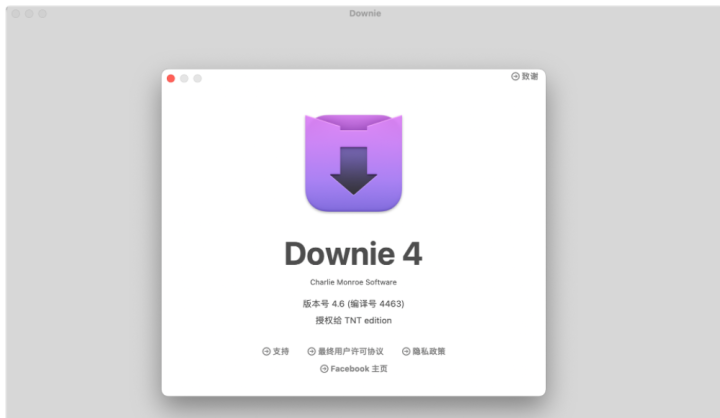 Downie 4 for Mac(最佳视频下载工具)V4.6中文激活版-1666416345-e3511cbcf2cc937-1