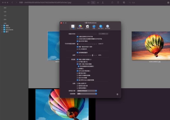 Lyn for Mac(轻级快速查阅图像) V2.2中文激活版-1671526705-c6a8d4d273df453-1