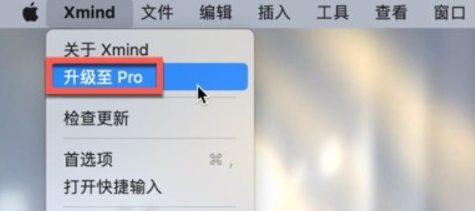 XMind 2023 for Mac(思维导图工具) v23.08中文激活版-1694578218-0072877788d344a-1