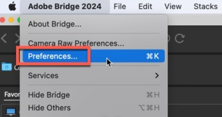 Bridge 2024 for Mac(br2024中文版) v14.0.1.137激活版-1701680756-ab3d62960e0921d-1