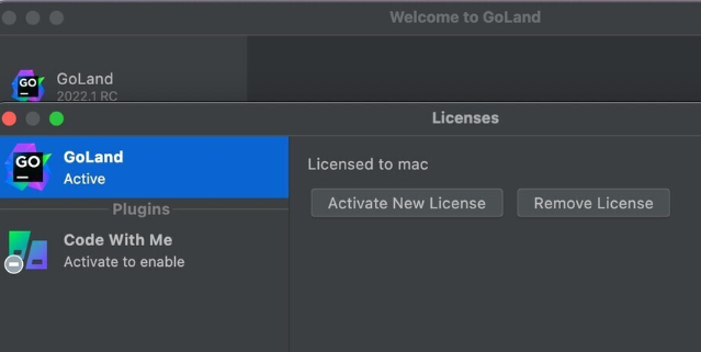 JetBrains GoLand For Mac(GO语言集成开发工具环境) v2023.3.6中文激活版-1711097006-488a68c8f1c2651-9