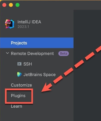 IntelliJ IDEA 2024 for Mac(Java语言开发集成环境) v2024.1中文激活版-1713255846-c959592ea0a1f84-6