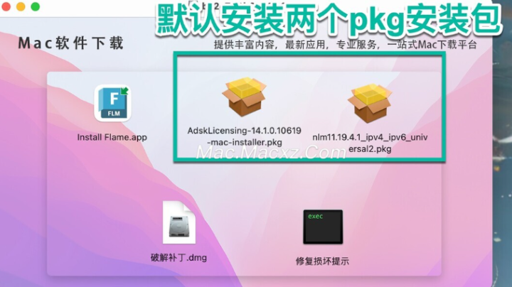 Autodesk Flame 2025 for mac(视觉特效制作解决方案) v2025.0.1激活版-1717147346-49350ac1c82b54a-3