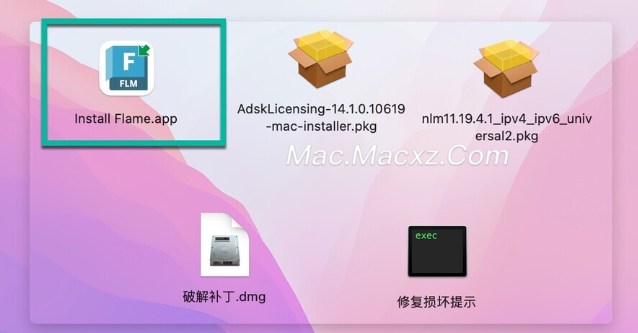 Autodesk Flame 2025 for mac(视觉特效制作解决方案) v2025.0.1激活版-1717147346-fb597abbb2d0f1f-2