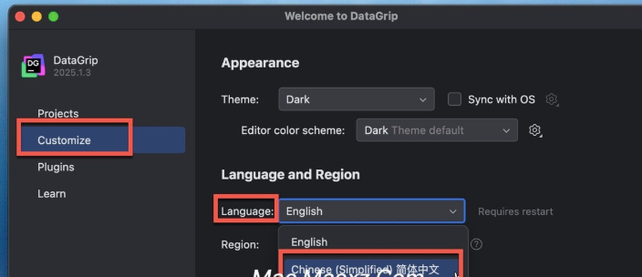 JetBrains DataGrip for mac(数据库管理工具) v2026.1.3 中文激活版-1778581194-c32c5bdf6380ca0-5